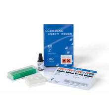 Dental Gc G-Bond